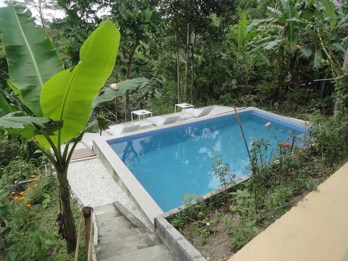 Putu Yoga Bungalow Bed & Breakfast Ubud  2*, Ubud (Bali)